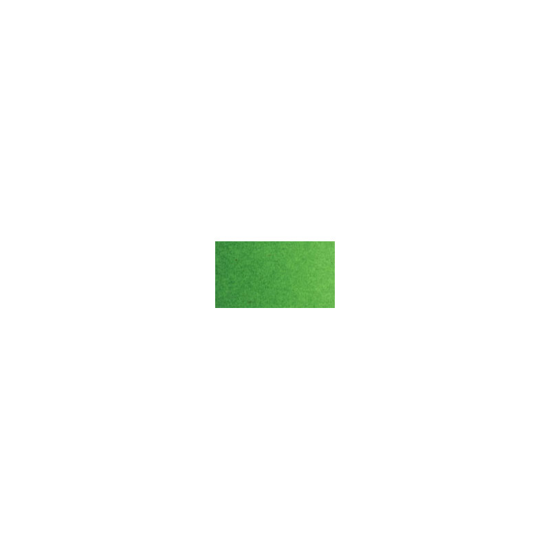 Vert vif - Aquarelle Tube 6ml Old Holland