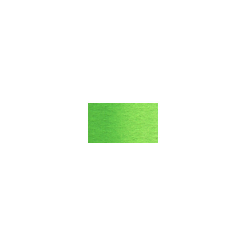 Vert permanent n°1 - Aquarelle Tube 5ml Holbein Artists'