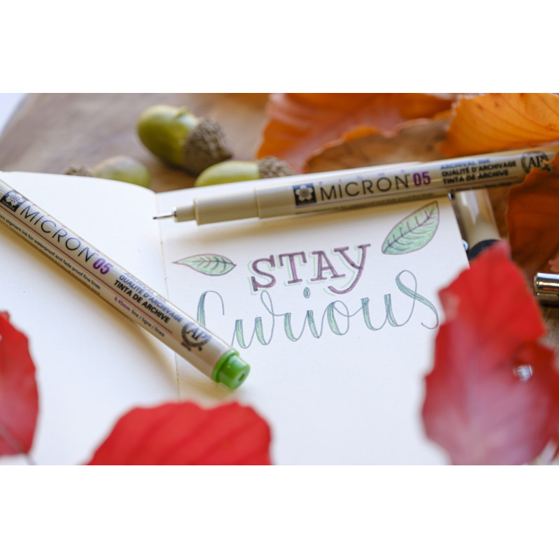Set de 6 Pigma micron 05 Terre