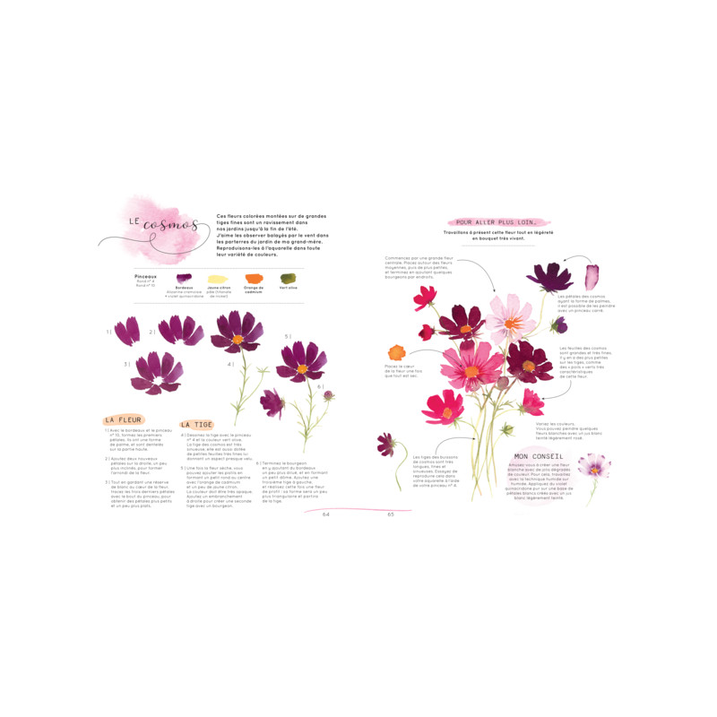 Fleurs et Végéteaux à l'aquarelle de Blanche Tristant leaubleue