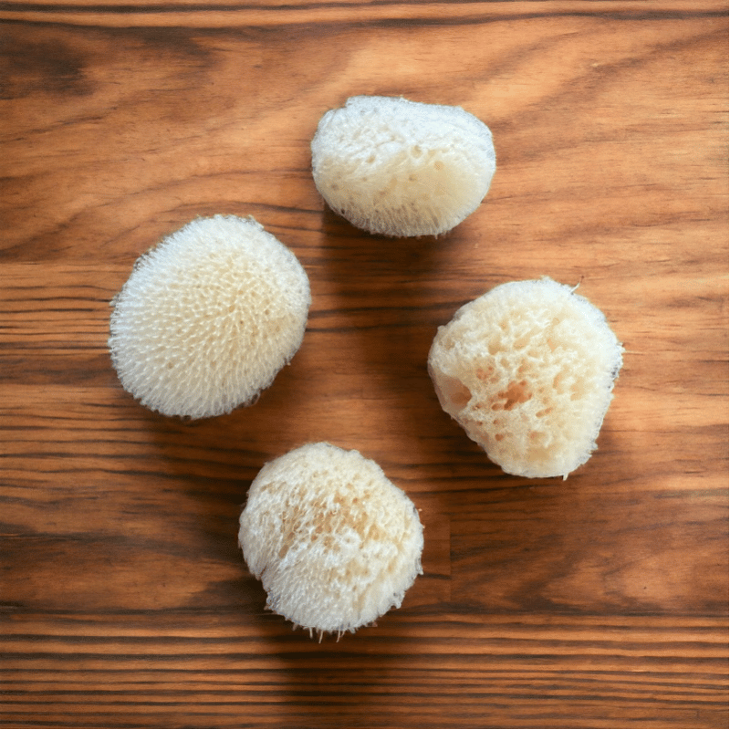 Sachet de 4 éponges naturelles