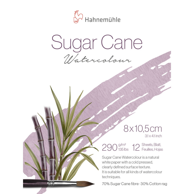 Bloc collé 1 côté Sugar Cane Hahnemühle 8x10,5 290g 12f