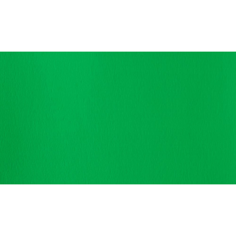 Vert clair permanent - Gouache extra fine Designers Tube 14 ml Winsor & Newton
