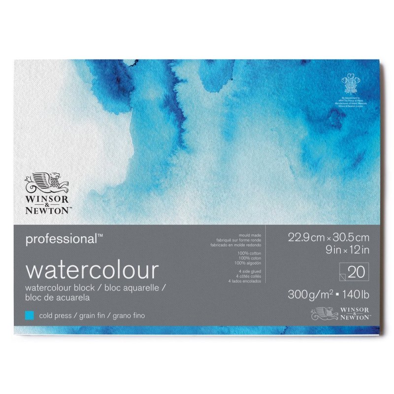 Bloc collé 4 côtés 100% coton 22.9x30,5 300g grain fin 20f Professional Winsor & Newton