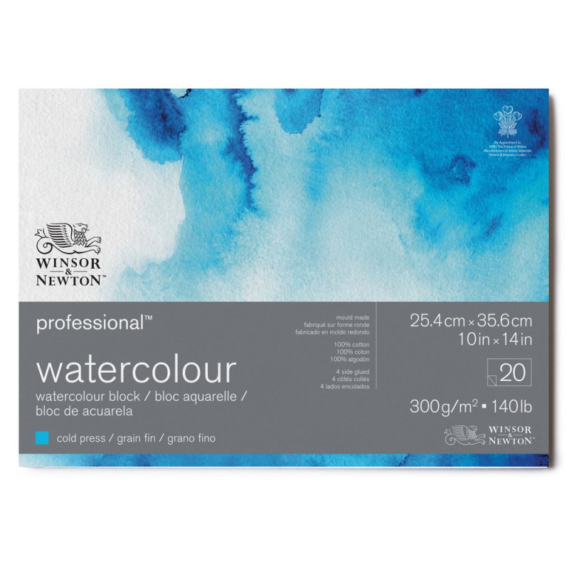 Bloc collé 4 côtés 100% coton 25.4x35.6 300g grain fin 20f Professional Winsor & Newton