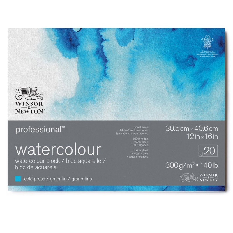 Bloc collé 4 côtés 100% coton 30.5x40.6 300g grain fin 20f Professional Winsor & Newton