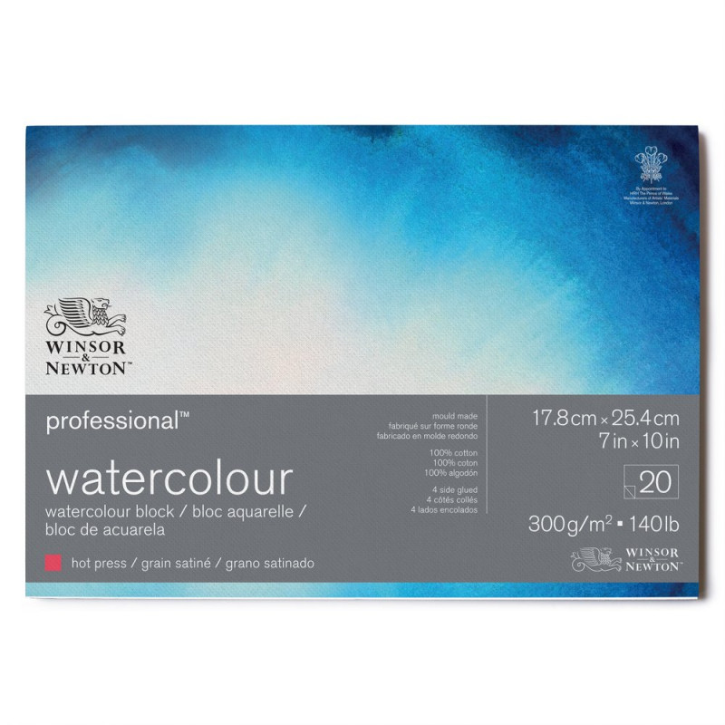 Bloc collé 4 côtés 100% coton 17.8x25.4 300g grain satiné 20f Professional Winsor & Newton