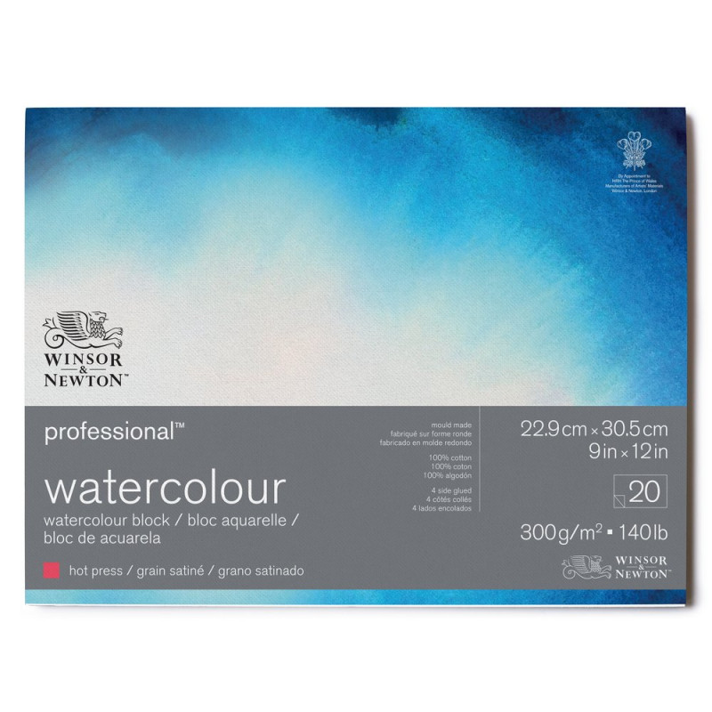 Bloc collé 4 côtés 100% coton 22.9x30,5 300g grain satiné 20f Professional Winsor & Newton