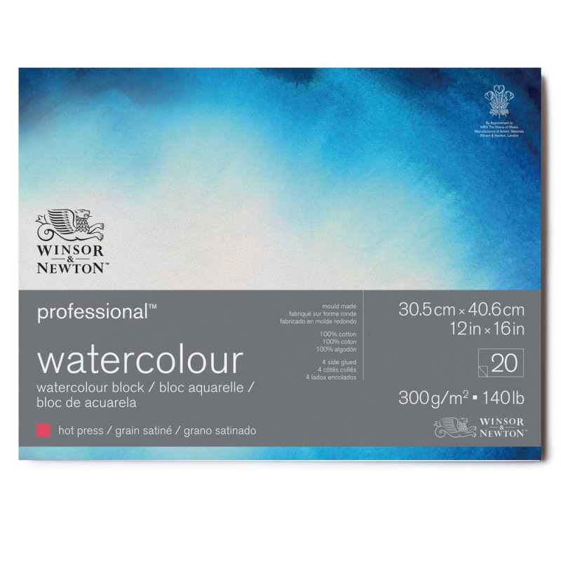 Bloc collé 4 côtés 100% coton 30.5x40.6 300g grain satiné 20f Professional Winsor & Newton