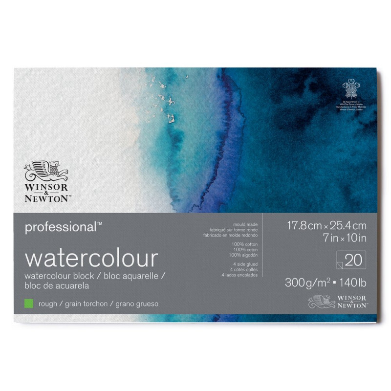 Bloc collé 4 côtés 100% coton 17.8x25.4 300g grain torchon 20f Professional Winsor & Newton