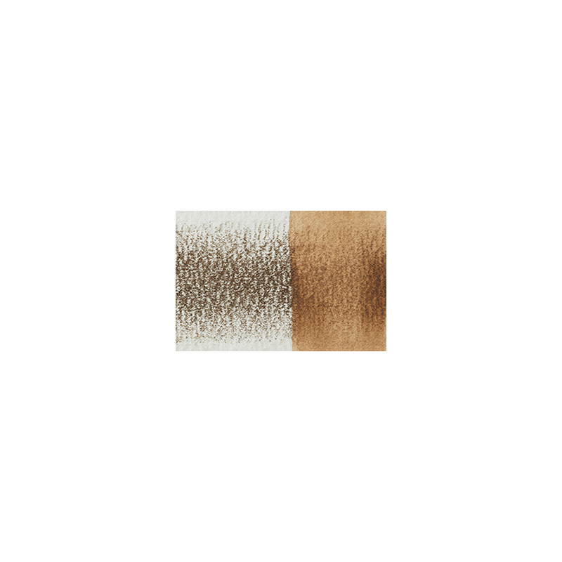 Marron saule - crayon Inktense Derwen