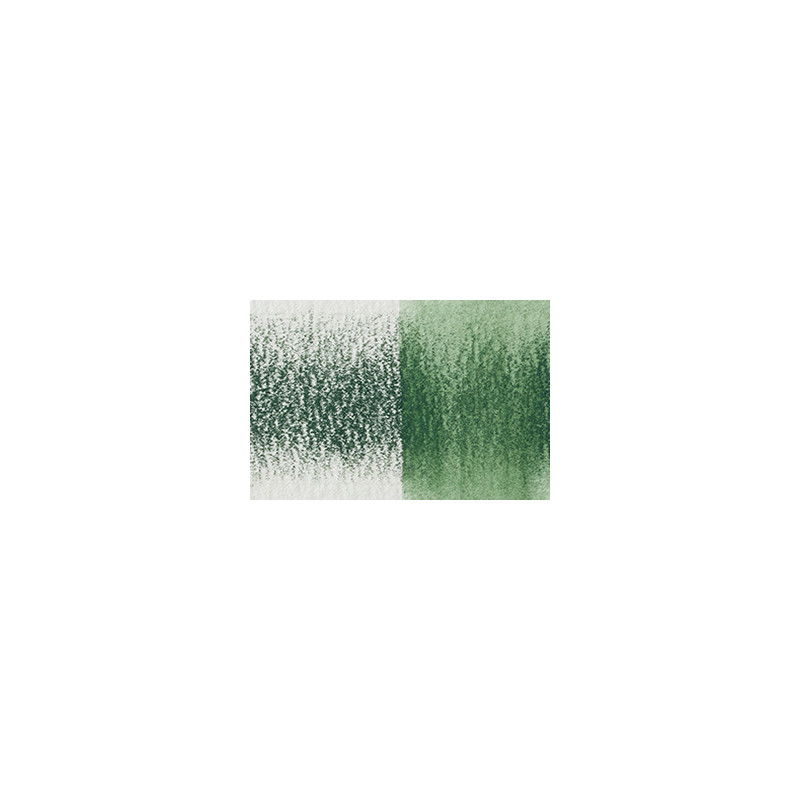 Hêtre vert - crayon Inktense Derwen