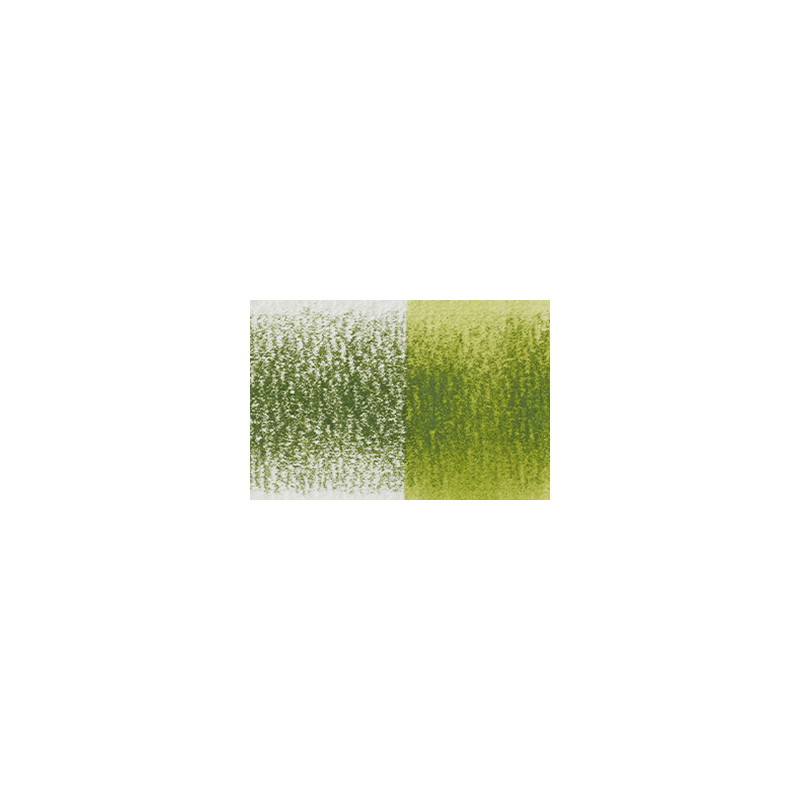 Fougère - crayon Inktense Derwen