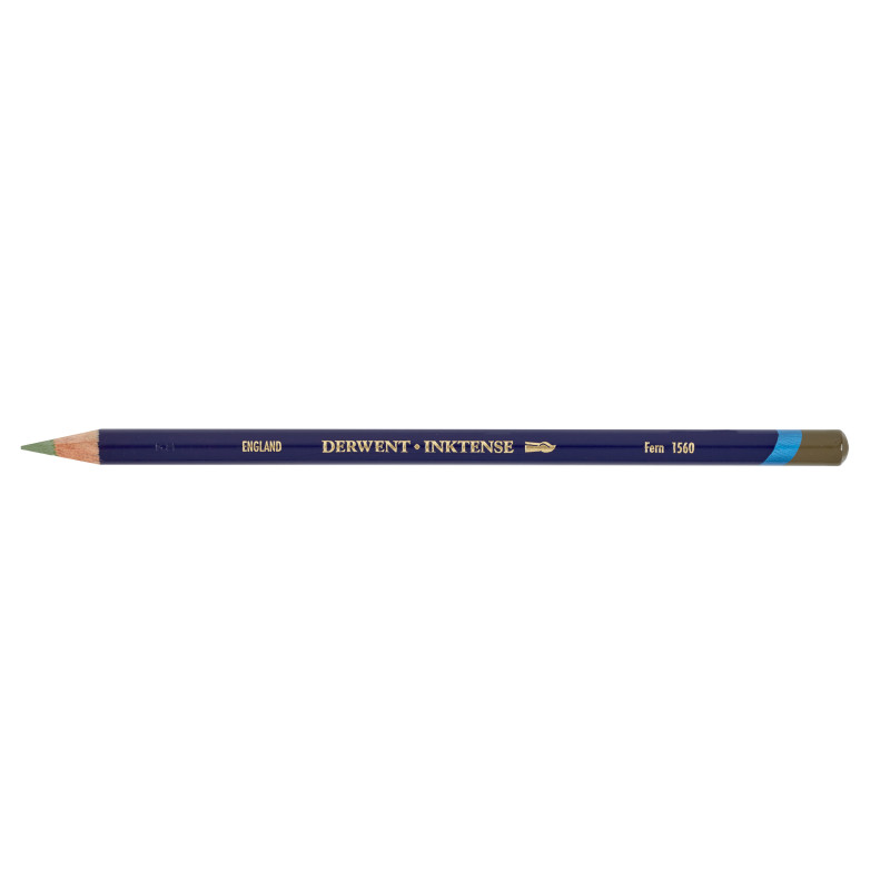 Fougère - crayon Inktense Derwen
