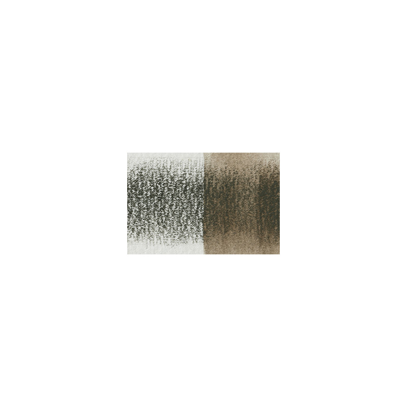 Chêne - crayon Inktense Derwen