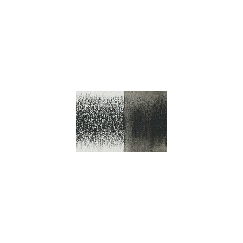 Encre sepia - crayon Inktense Derwen