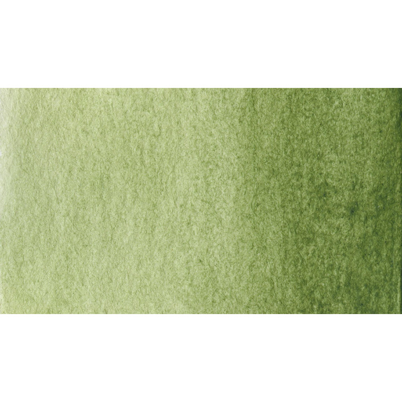 Terre verte chaude - Aquarelle 1/2 Godet Gallo