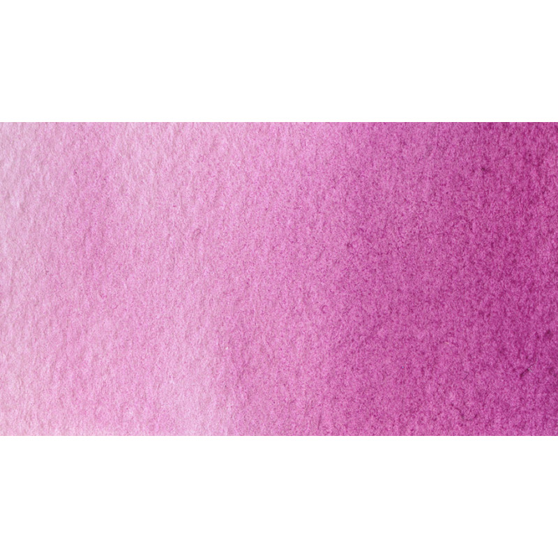 Rose outremer - Aquarelle 1/2 Godet Gallo