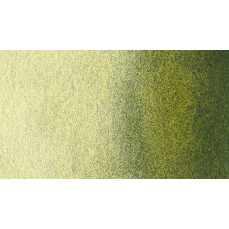 Vert olive profond - Aquarelle 1/2 Godet Gallo