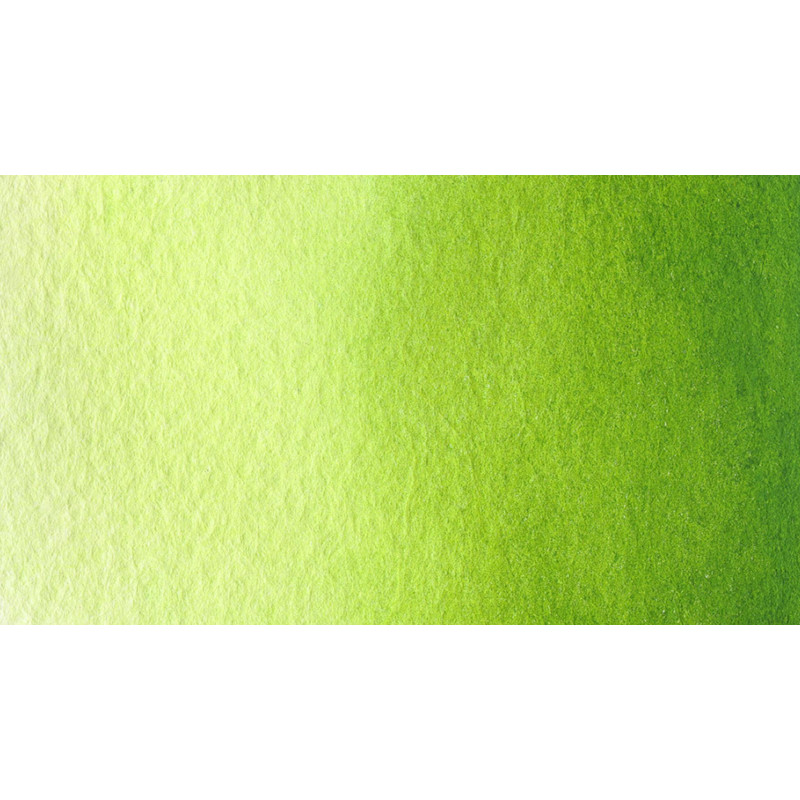 Vert de vessie - Aquarelle 1/2 Godet Gallo
