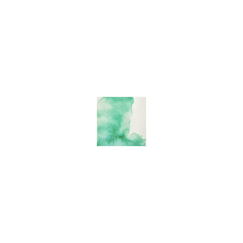 Vert de guignet nuance - Aquarelles Tube 14 ml Winsor & Newton
