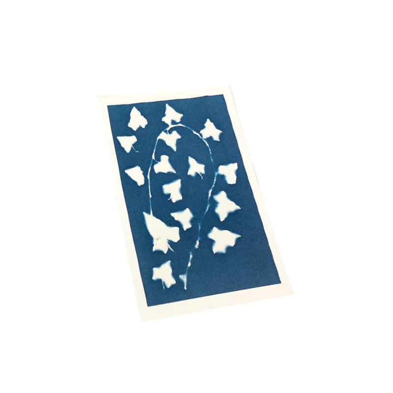 Kit pour tirage cyanotypede Enjoy Art