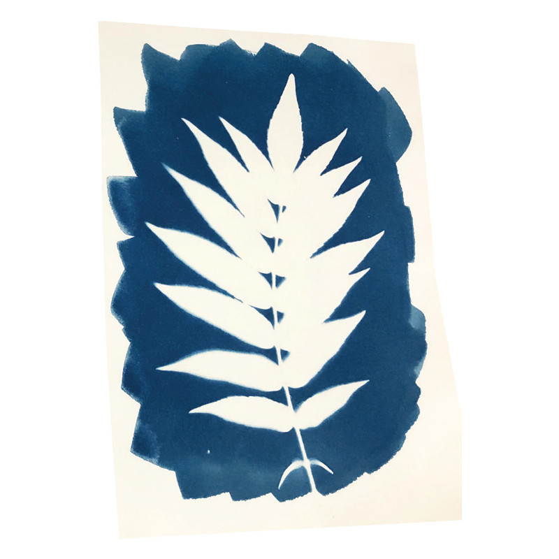 Kit pour tirage cyanotypede Enjoy Art