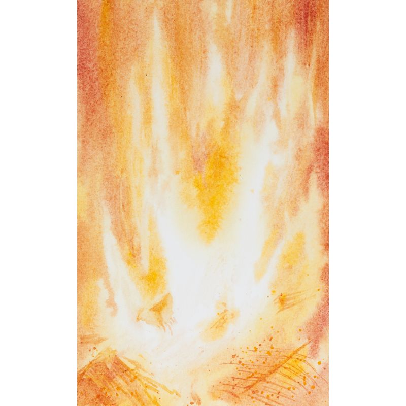 Boîte carton trio Feu Horadam Naturals 3 tubes 5 ml Schmincke