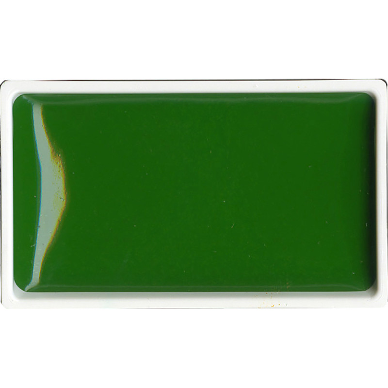 Vert D'hoocker - aquarelle extra fine Gansai Godet Japonnais Kuretake