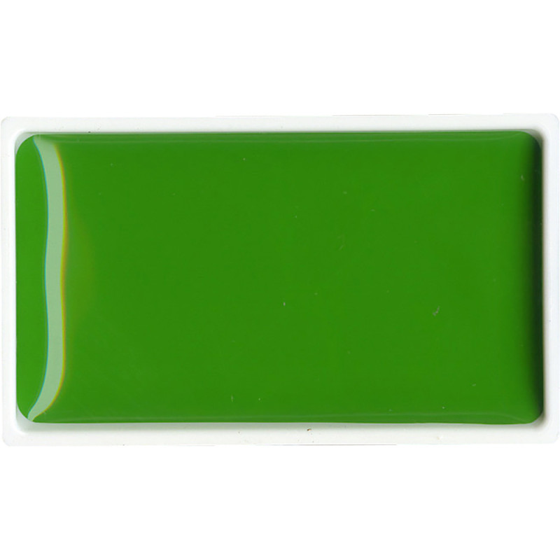 Vert De Vessie Clair - aquarelle extra fine Gansai Godet Japonnais Kuretake