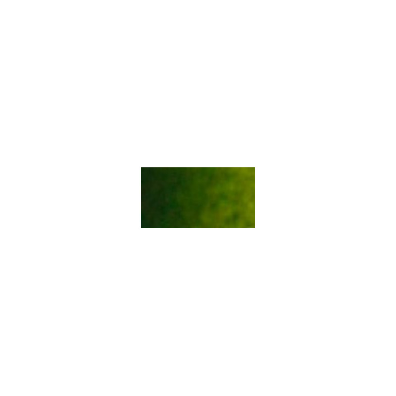 Vert Olive - aquarelle Tube 15ml Turner