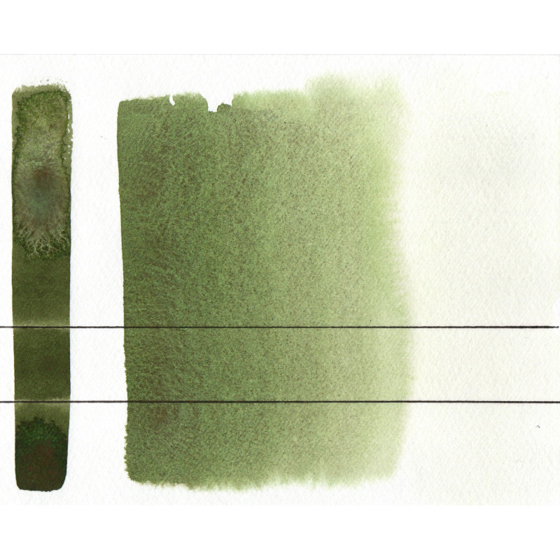 Vert forêt- Aquarelles Godet Roman Szmal