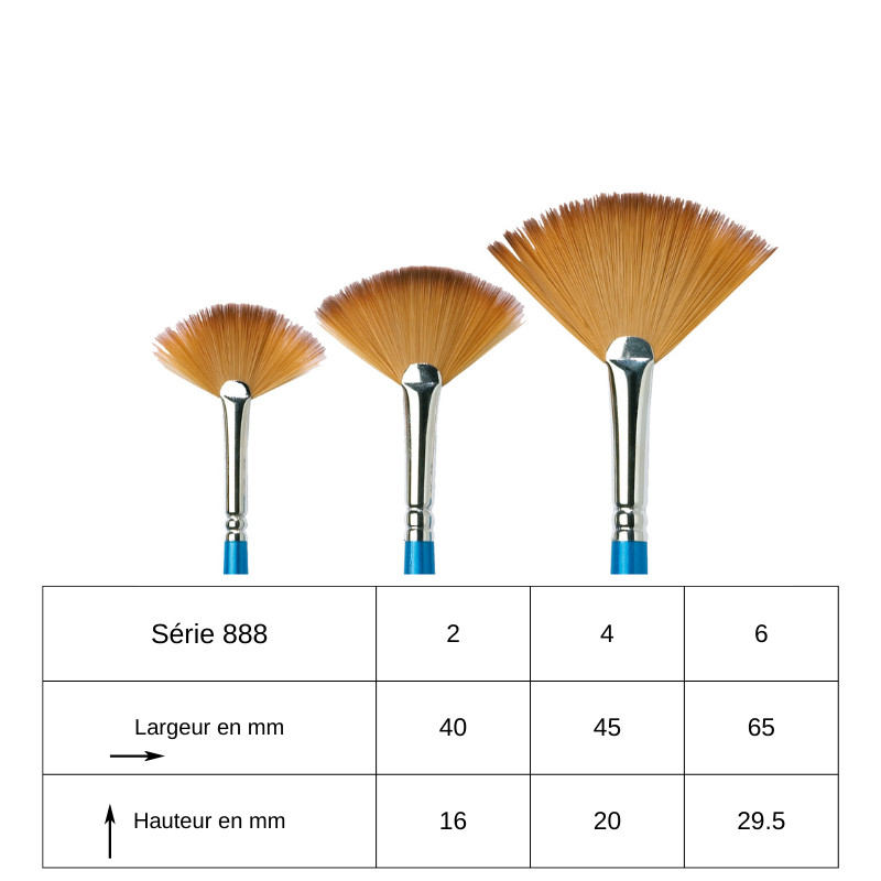 Brosse éventail série 888 Cotman n°2