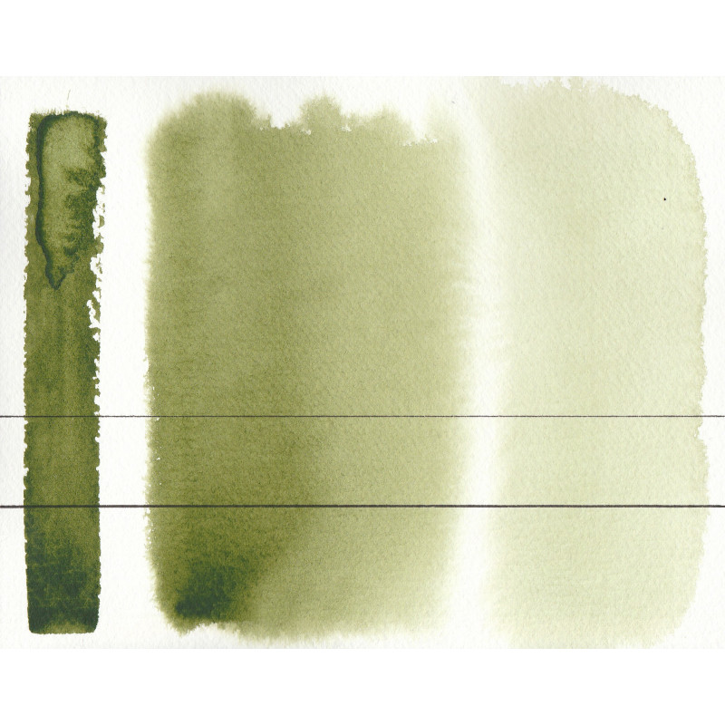 Vert de sève clair - Aquarelle Aquarius Aquarius ½ godet Roman Szmal