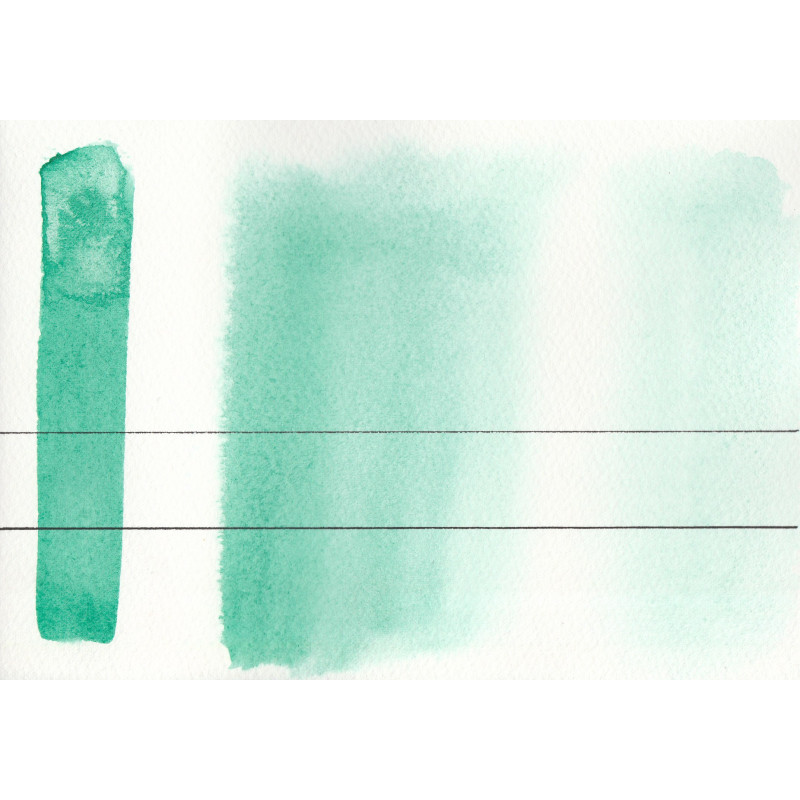 Viridien - Aquarelle Aquarius Aquarius ½ godet Roman Szmal