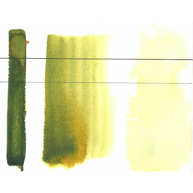 Vert d'automne - Aquarelle Aquarius Aquarius ½ godet Roman Szmal