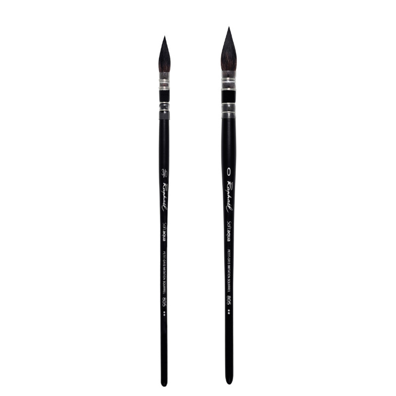 Set les essentiels pour les fonds 2 pinceaux aquarelle Raphaël