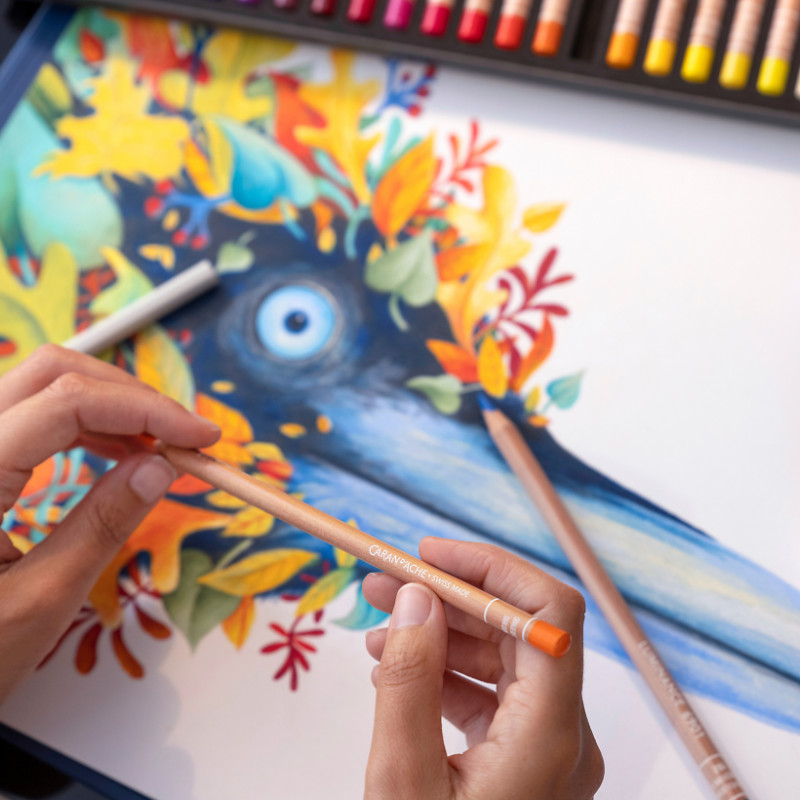 Coffret 12 crayons permanents Luminance 6901 en carton Caran d'Ache