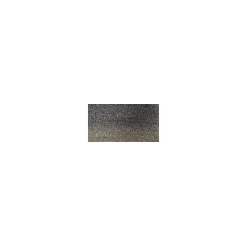 Noir Iridescent - Aquarelle ½ godet Cotman