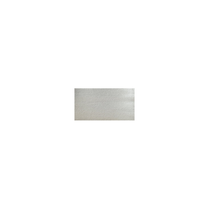 Argent - Aquarelle ½ godet Cotman