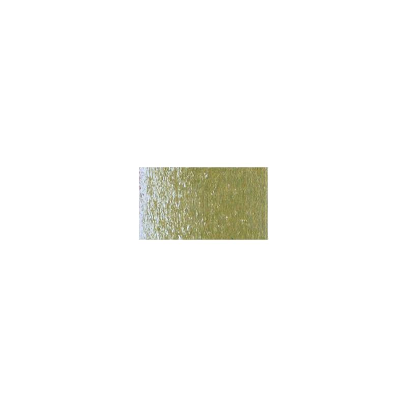 Olive brunâtre 50% - Crayon permanent Caran d'Ache Luminance