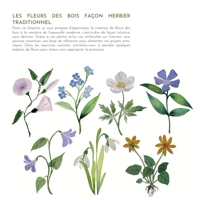 Peindre les secrets de la forêt à l'aquarelle, Jennifer Lefèvre @jennyillustrations