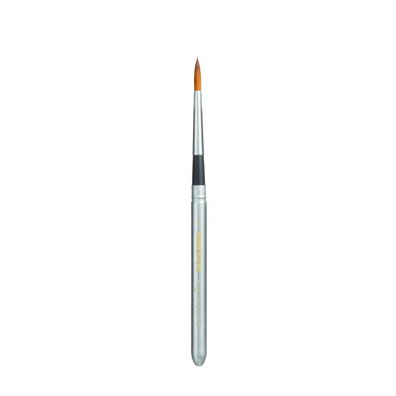 Assortiment de 4 pinceaux de voyage Aqua Elite Princeton