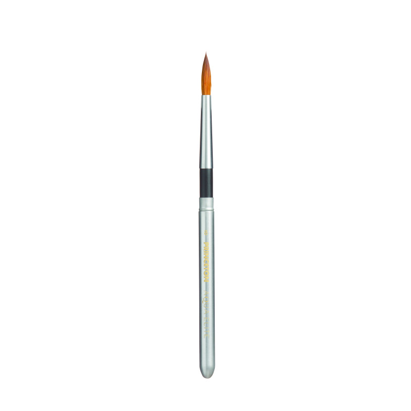 Assortiment de 4 pinceaux de voyage Aqua Elite Princeton