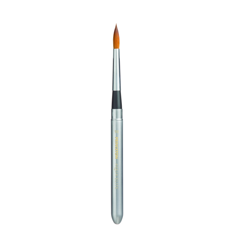 Assortiment de 4 pinceaux de voyage Aqua Elite Princeton