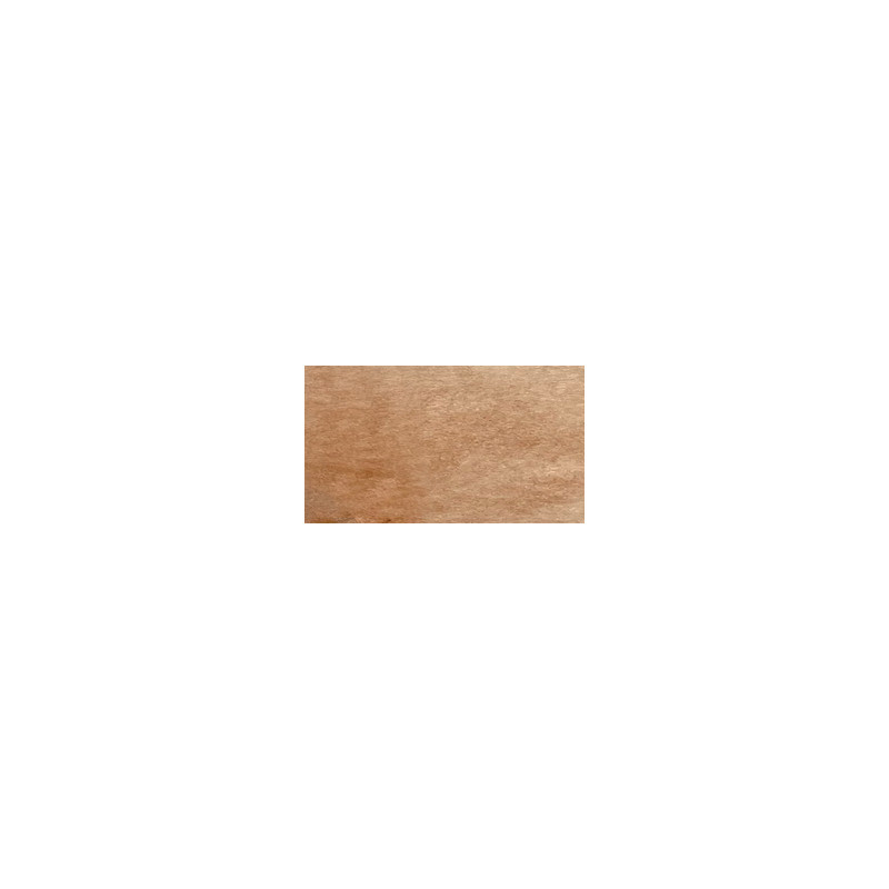 Ombre naturelle - Aquarelle extra-fine ½ godet Charvin