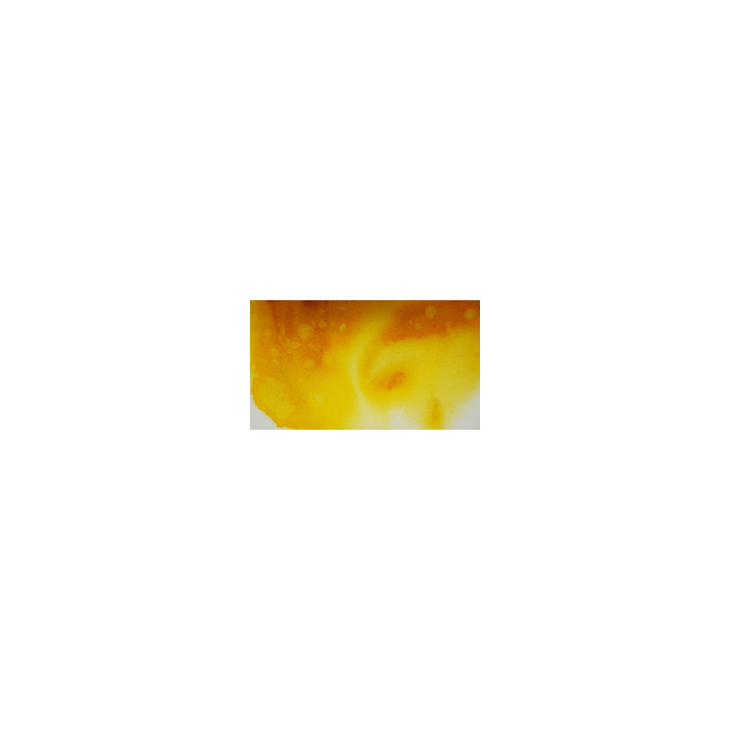 Jaune Rudbeckia- aquarelle granuleuse Tube 15ml Mission Gold Class Tourmaline Mijello