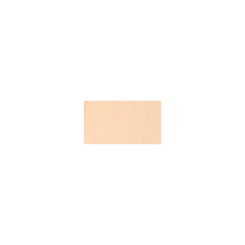 Pêche pâle - acrylic gouache Tube 20ml Holbein Artists'