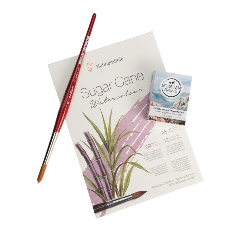 Set de démarrage aquarelle horadam naturals + pinceau DaVinci + papier Hahnemühle Schmincke