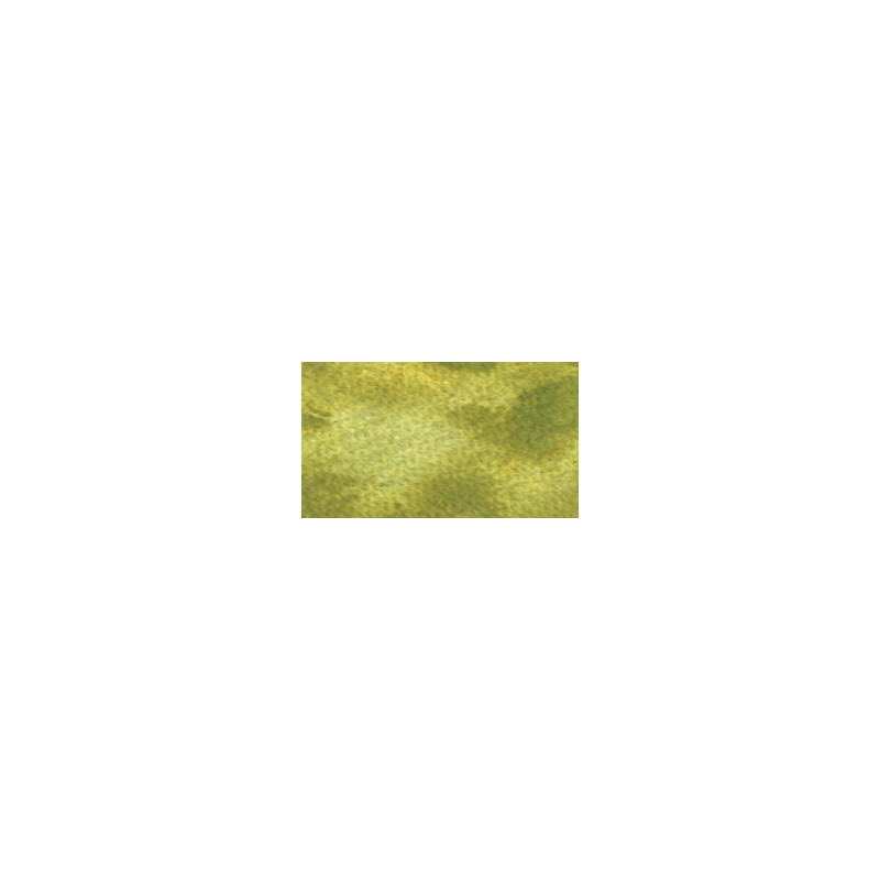 Paruline des buissons du Japon vert - aquarelle granuleuse ArtistsTube 15ml Holbein